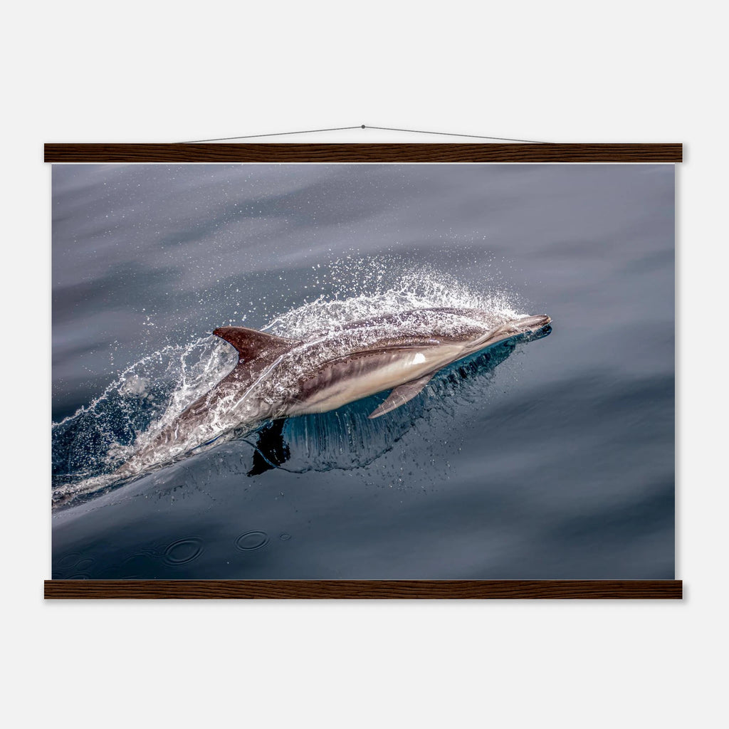 03fbf66b-112b-4cfb-ab72-30e070c359a4