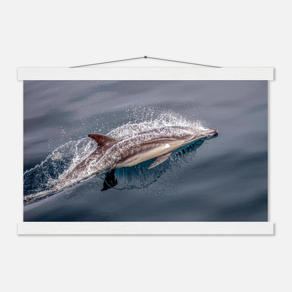 06df679d-a63c-49cd-89c9-1230b28d74f1