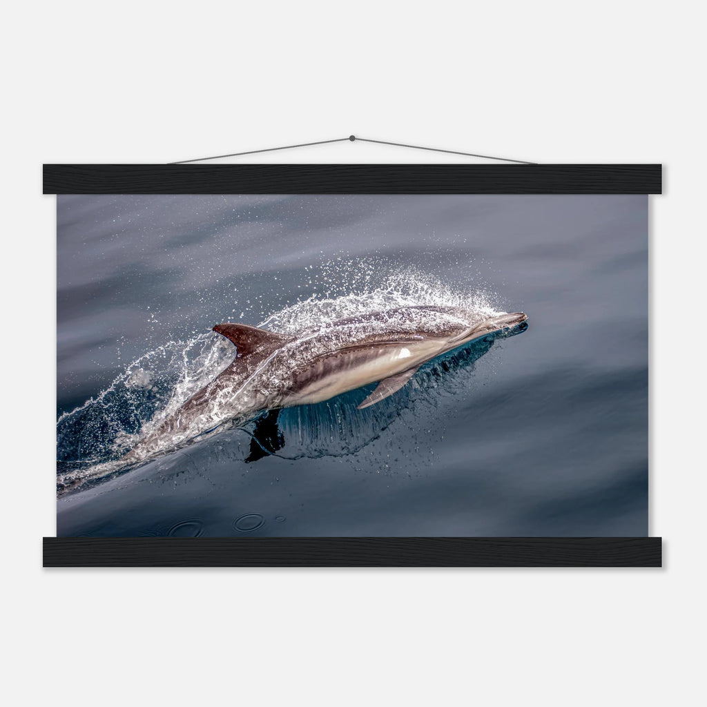 07eb7c76-d25b-47e4-955e-460fb8757496