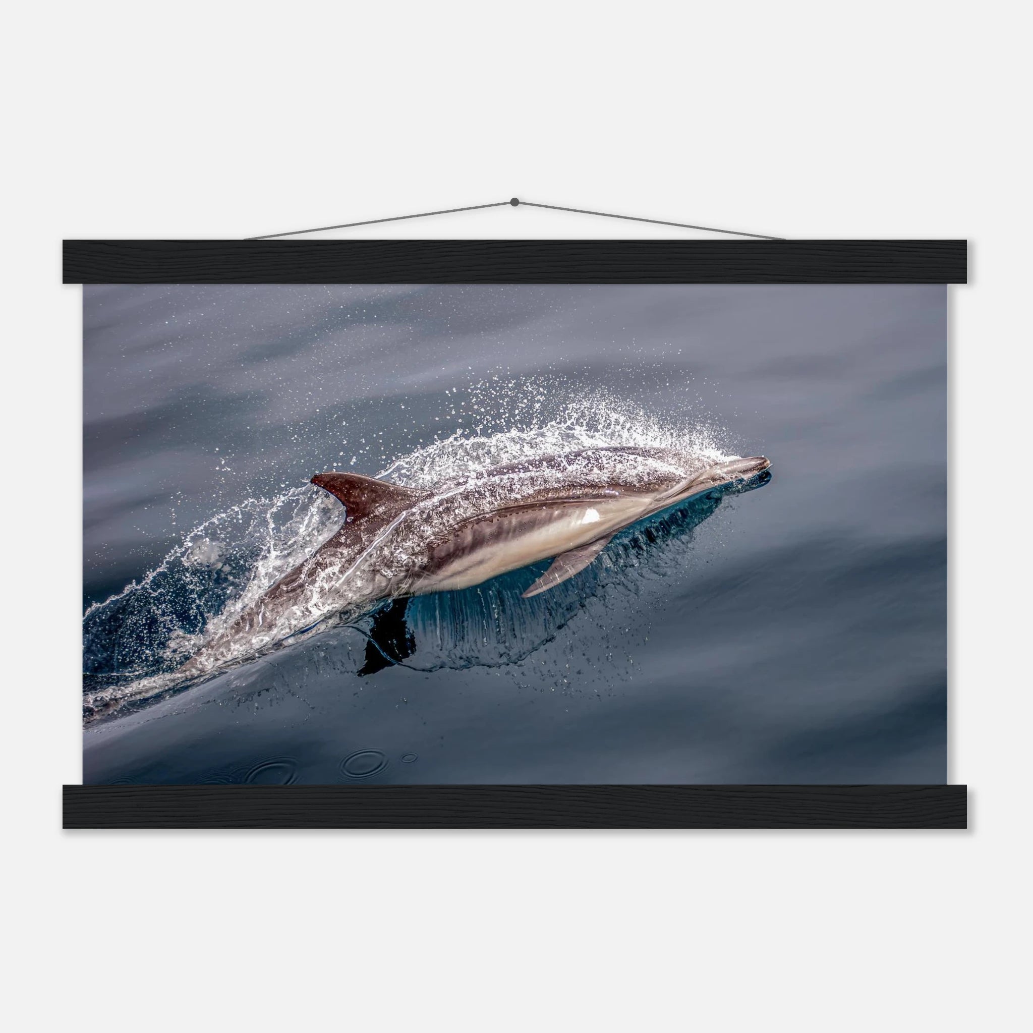 07eb7c76-d25b-47e4-955e-460fb8757496