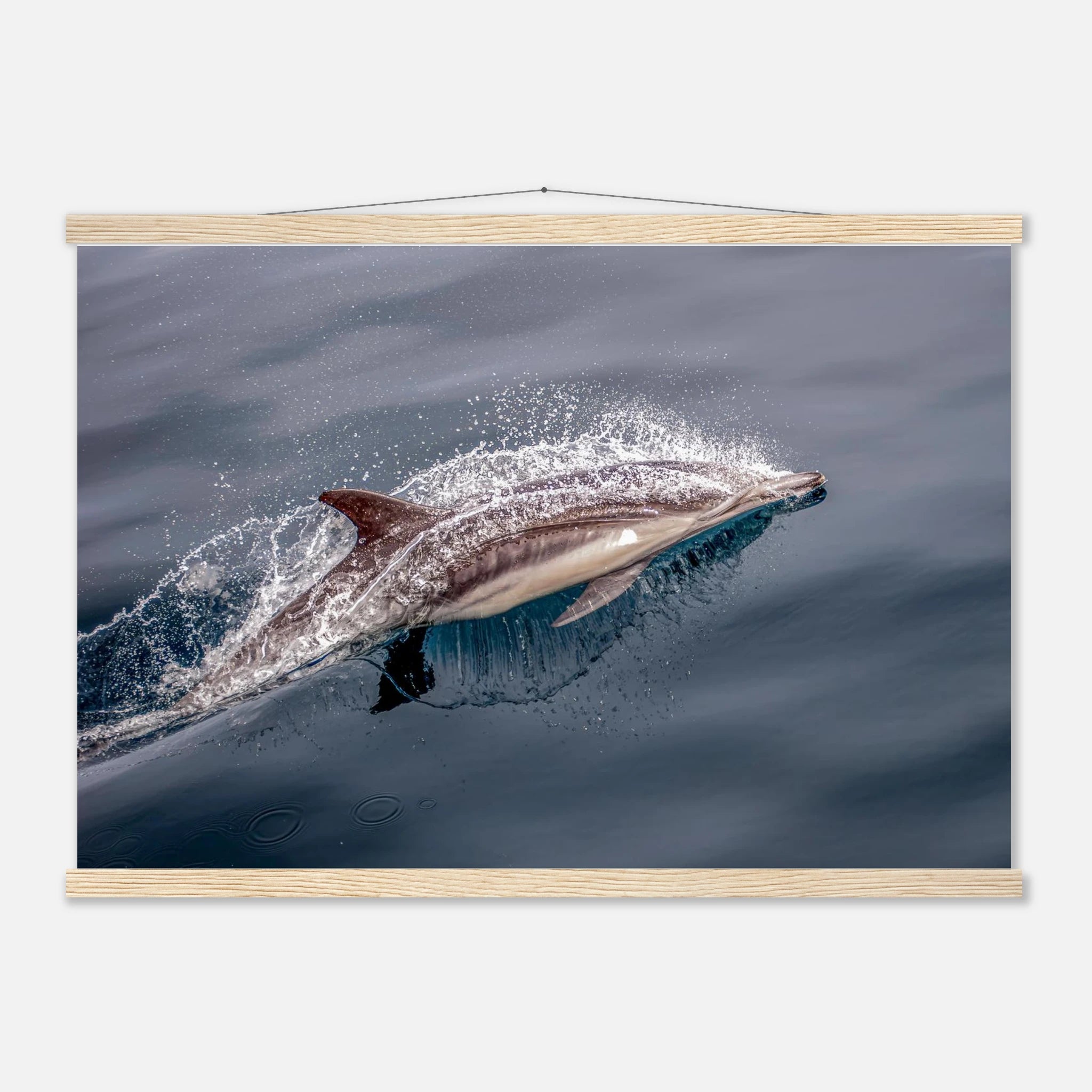 11f659d0-9513-4dc3-a08f-3892ed2266ed