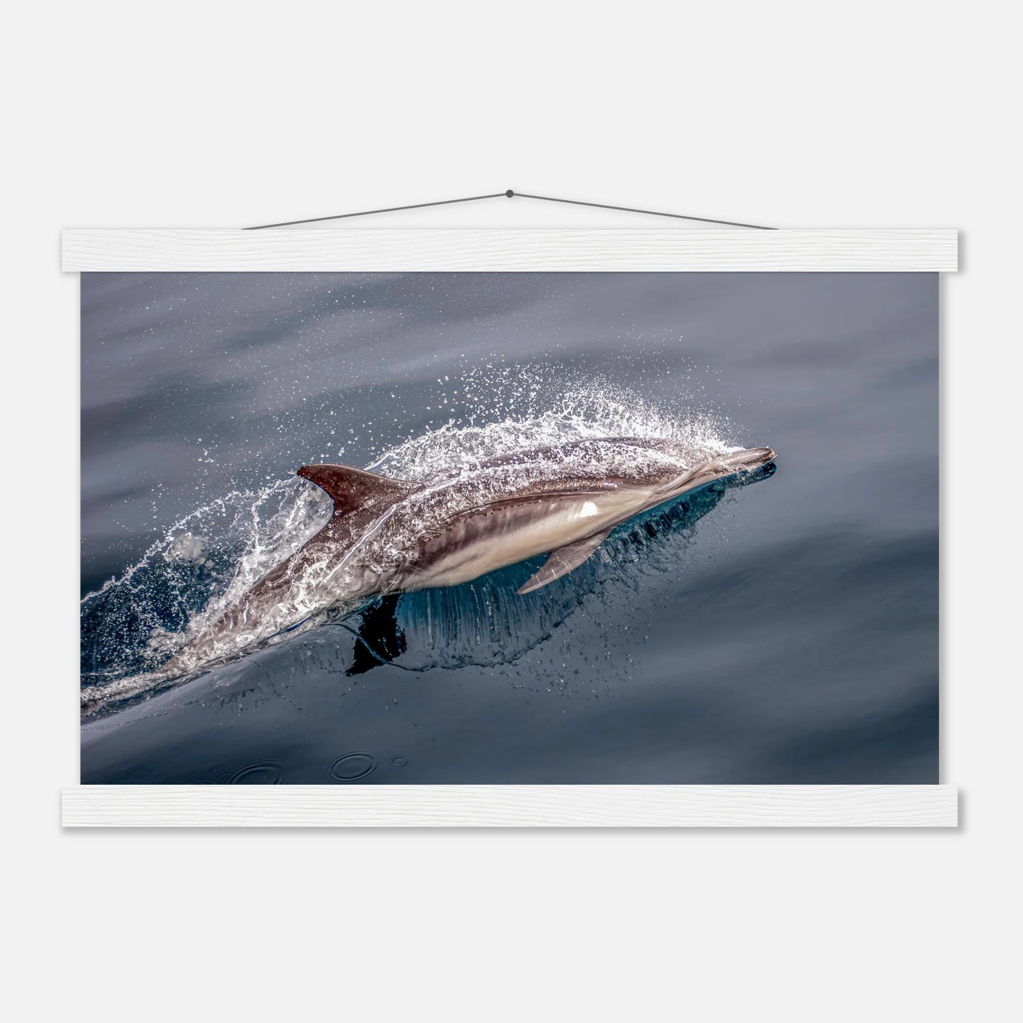 1264ddd9-2ad6-4a4e-8f73-ee33840c5148