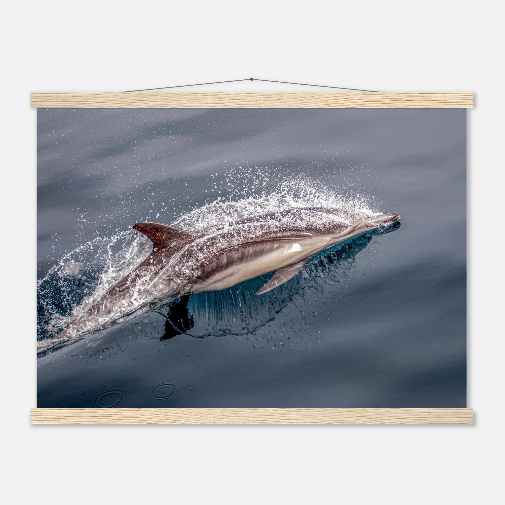 17d9f978-5935-4906-bfa2-2d2b7635a225