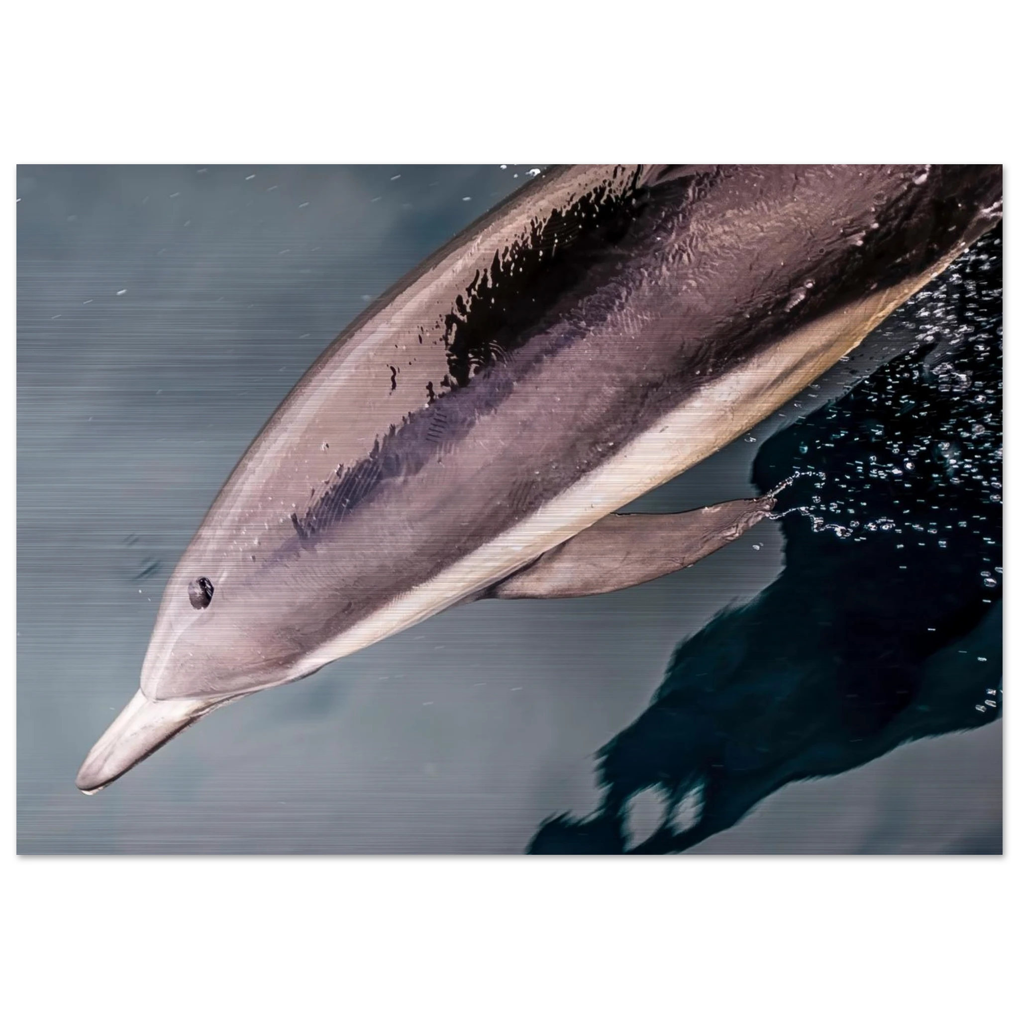 18ae9c1f-494c-4e2e-a6e9-65468bb8b4c3