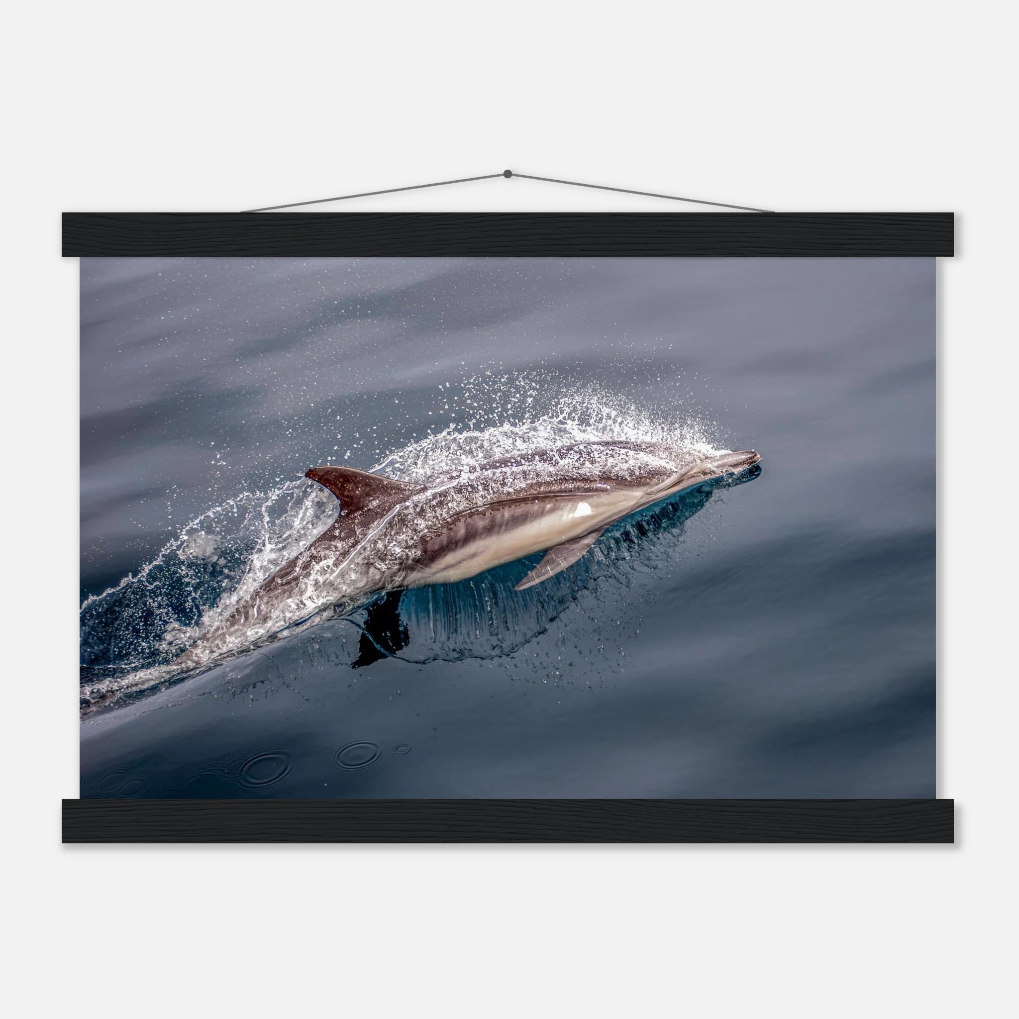 1a93d975-85d9-42d8-9faf-a0b7f6cd2614