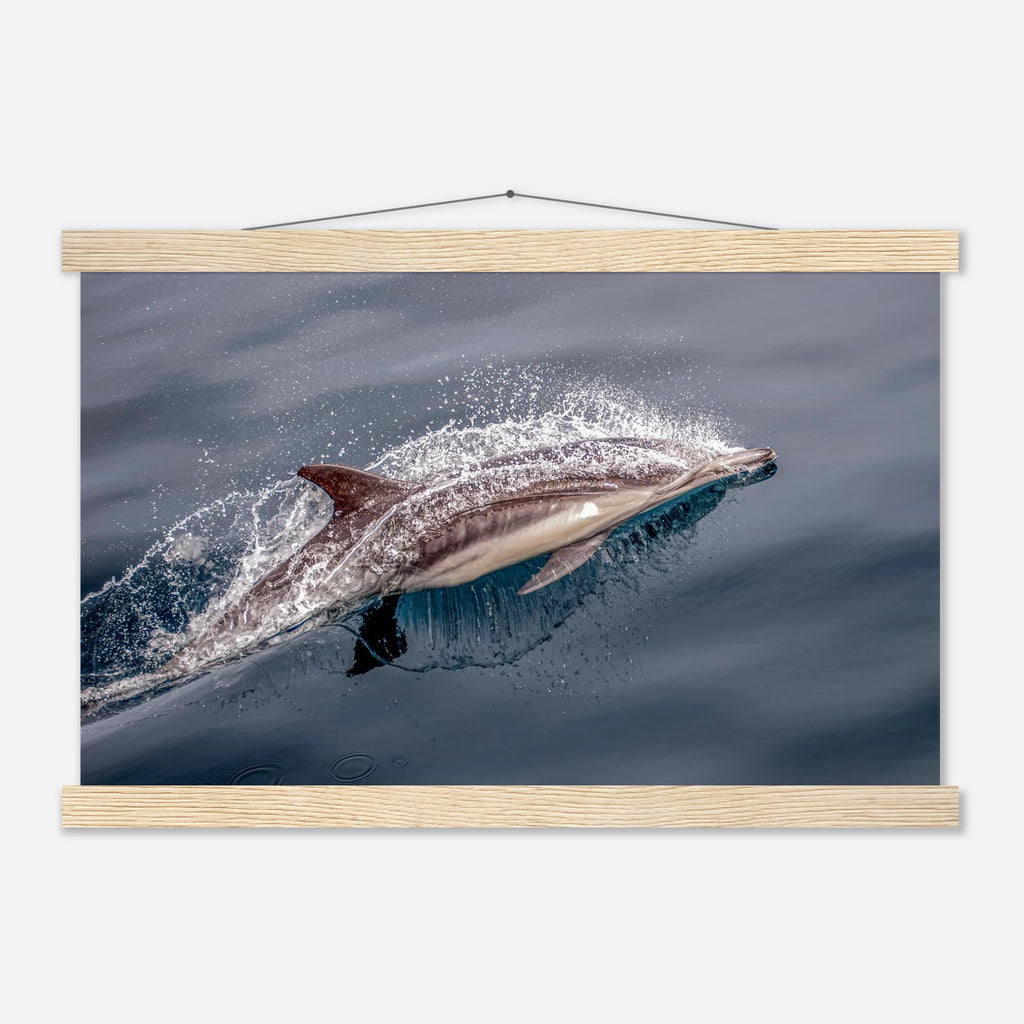 1d26e19c-436d-4be3-b6a8-5e2480351474