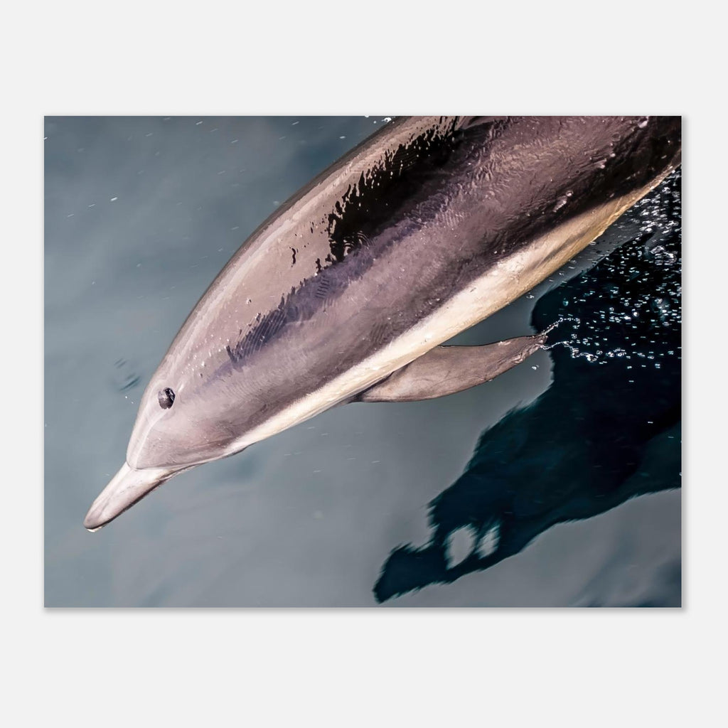 1ea995d9-1925-40b7-a660-e764033a43df