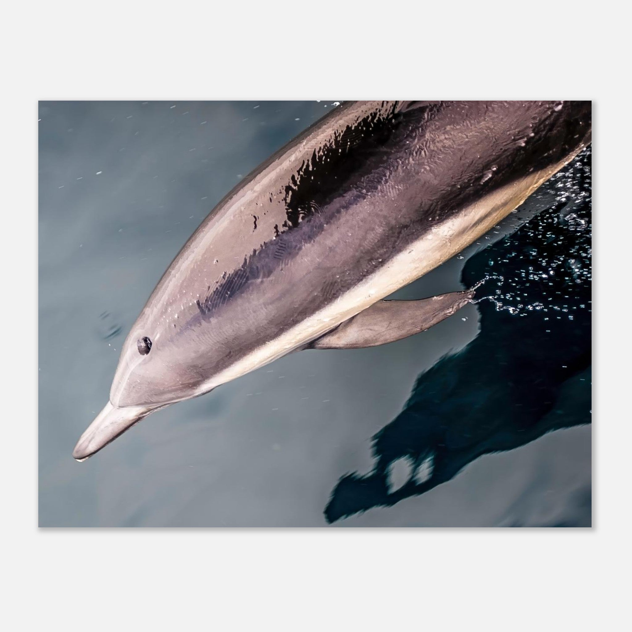 1ea995d9-1925-40b7-a660-e764033a43df