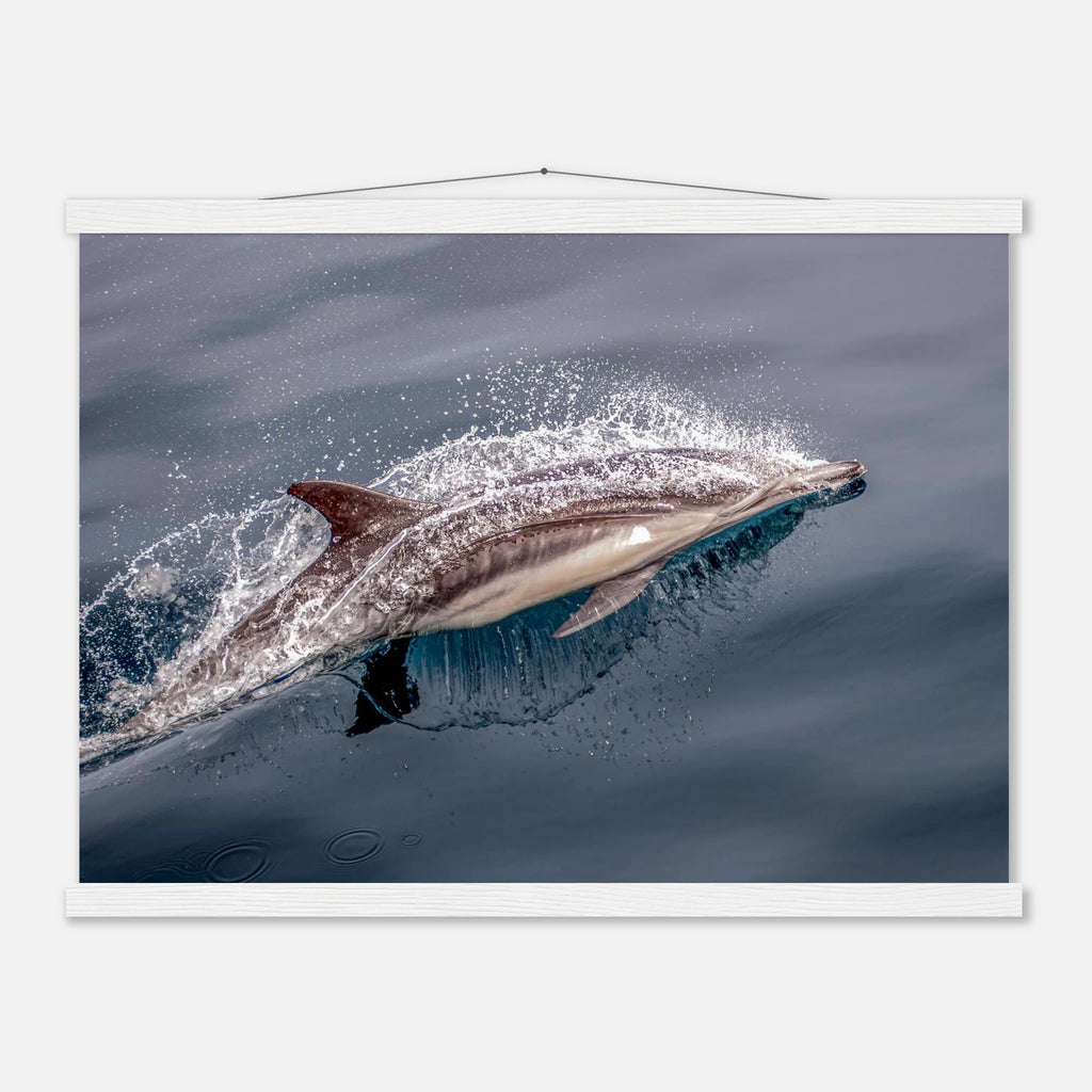 2028cedb-6dd3-45f1-9f47-20f7c9ce0e7e