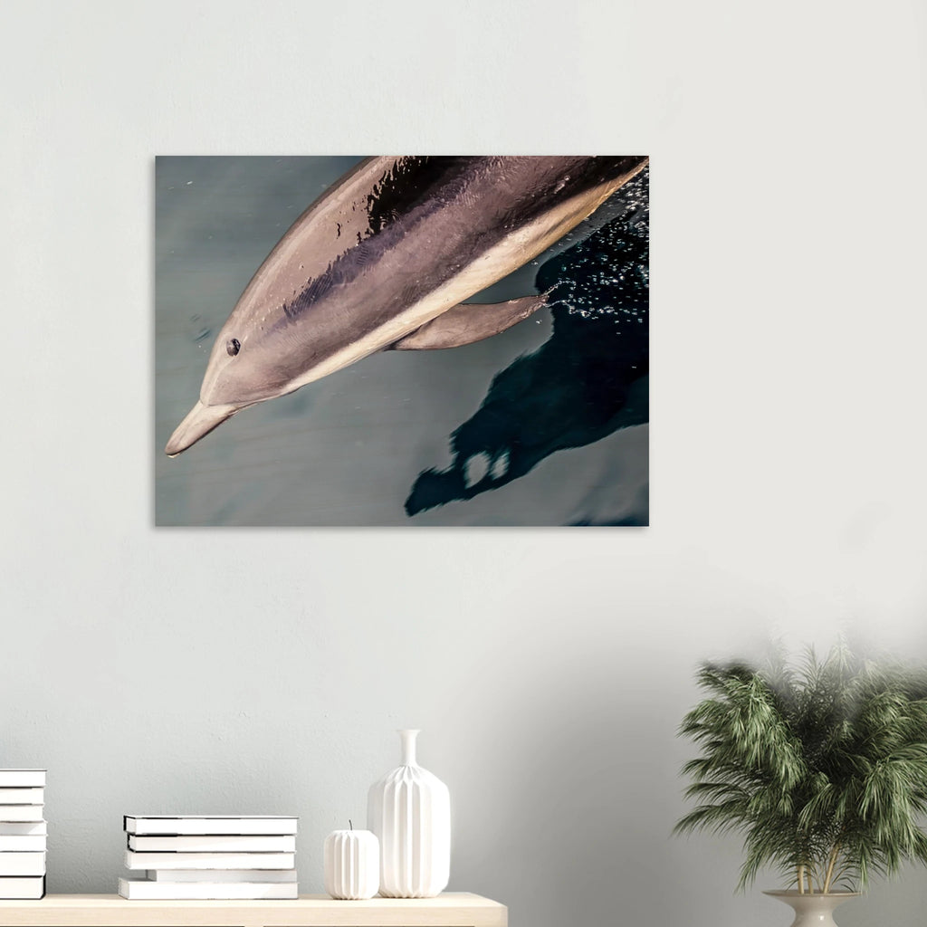 25e4d1a6-9879-4983-8084-c5a5f356ca06