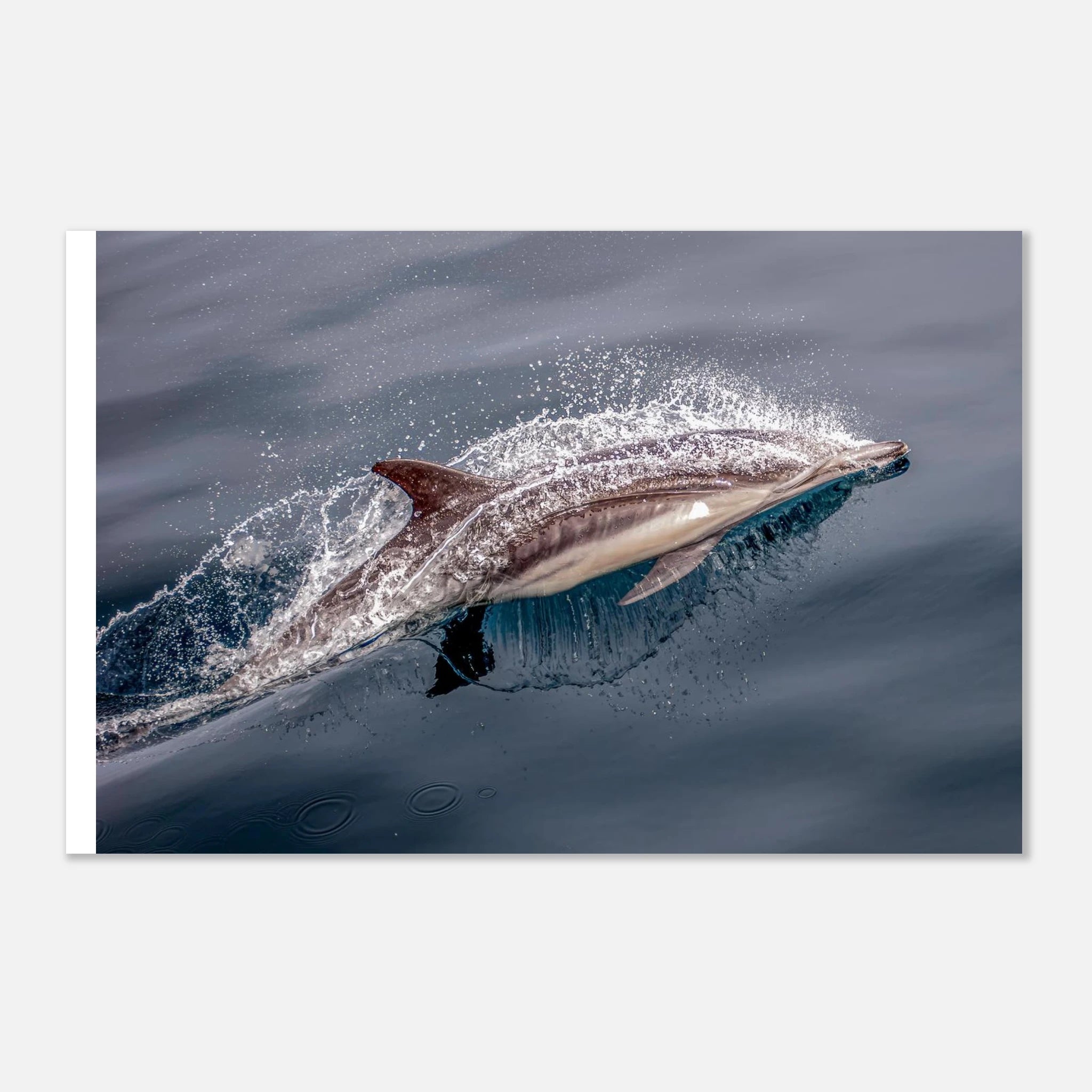 26ef432d-b947-43f4-b0ad-85db610688fa