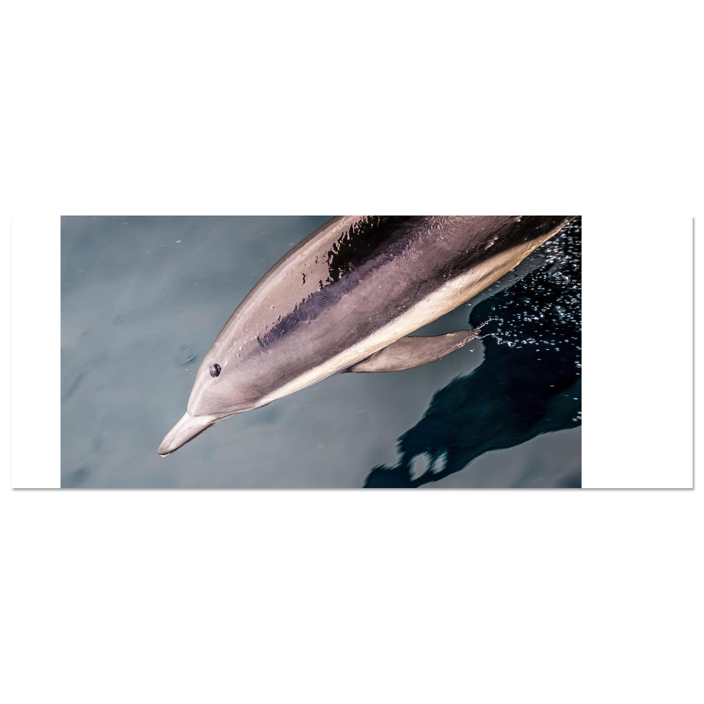 2d7c9f98-30ec-4d8a-9175-7f3a94ad6165