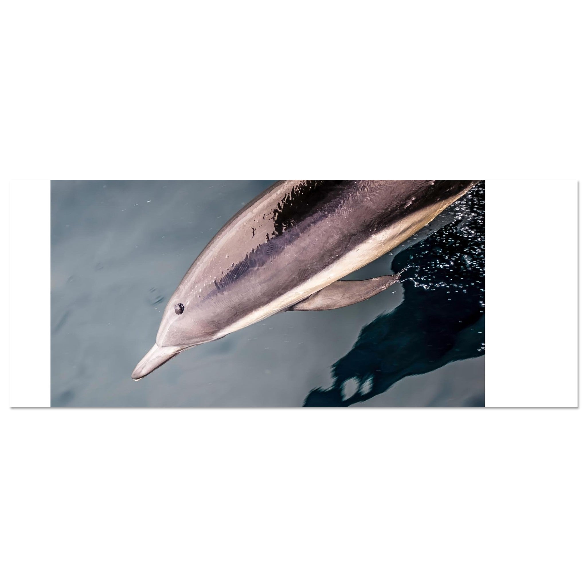 2d7c9f98-30ec-4d8a-9175-7f3a94ad6165