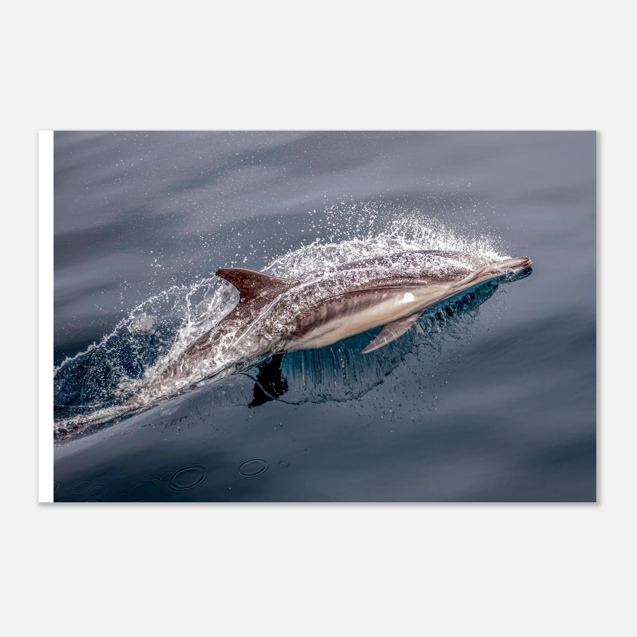 2fad2200-243e-4c93-9167-7c83a5435346