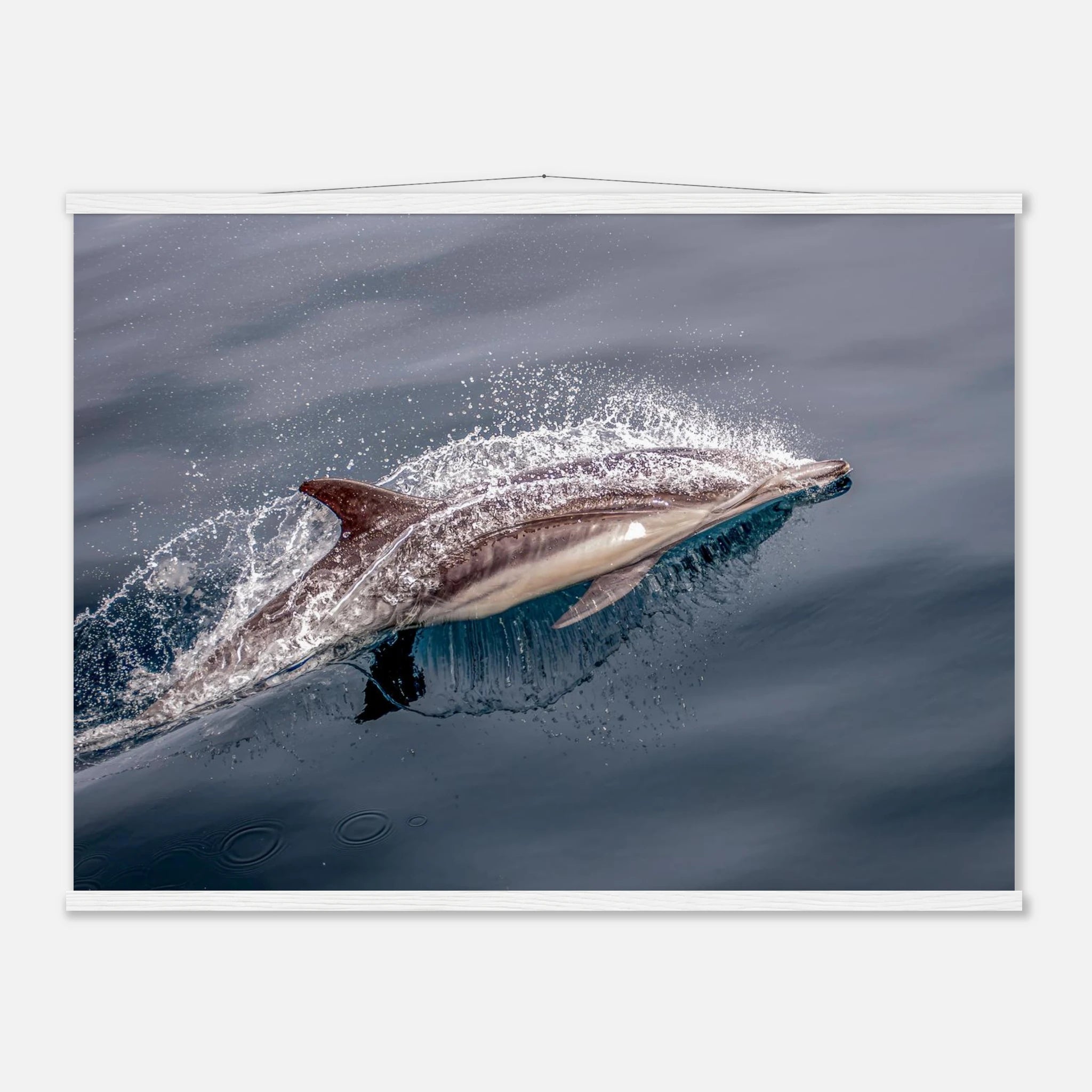 37ae916d-6aea-41a8-aee5-d244de6eba0a