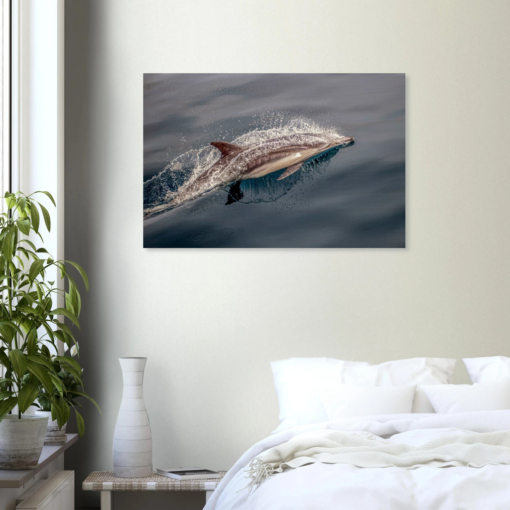 3a6e44a2-5a05-40c0-b0ed-b2c89e2315e6