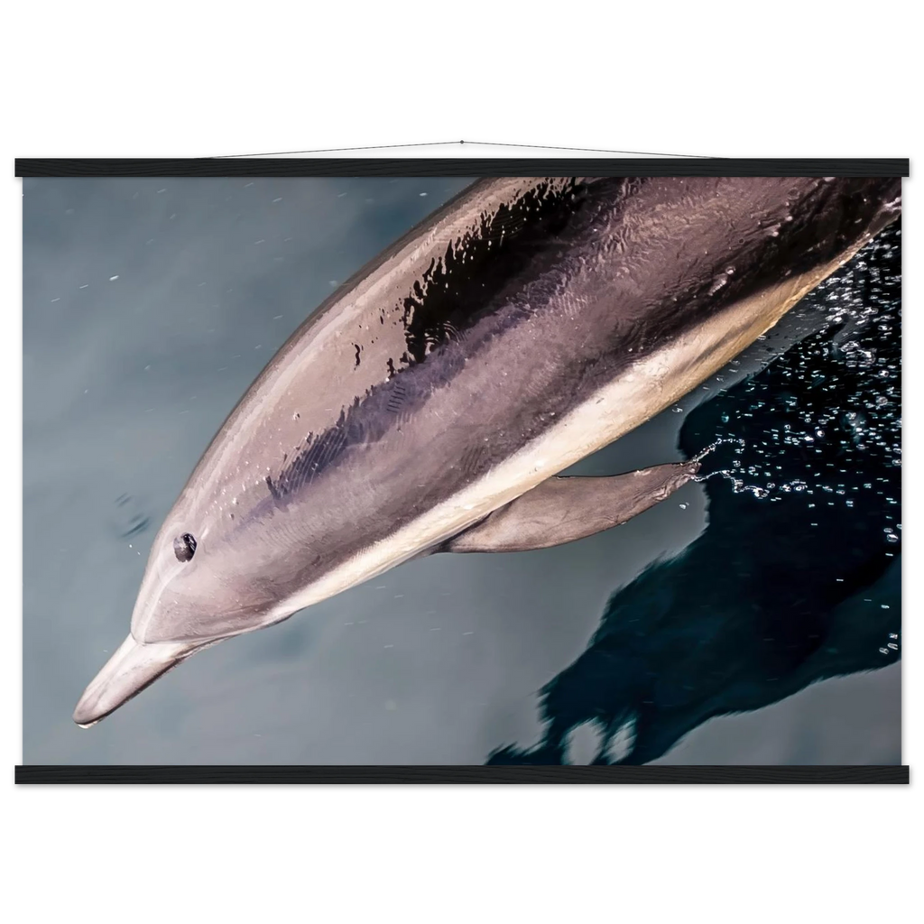 3b1a27e6-bb00-4b44-9823-f44831a8ad77