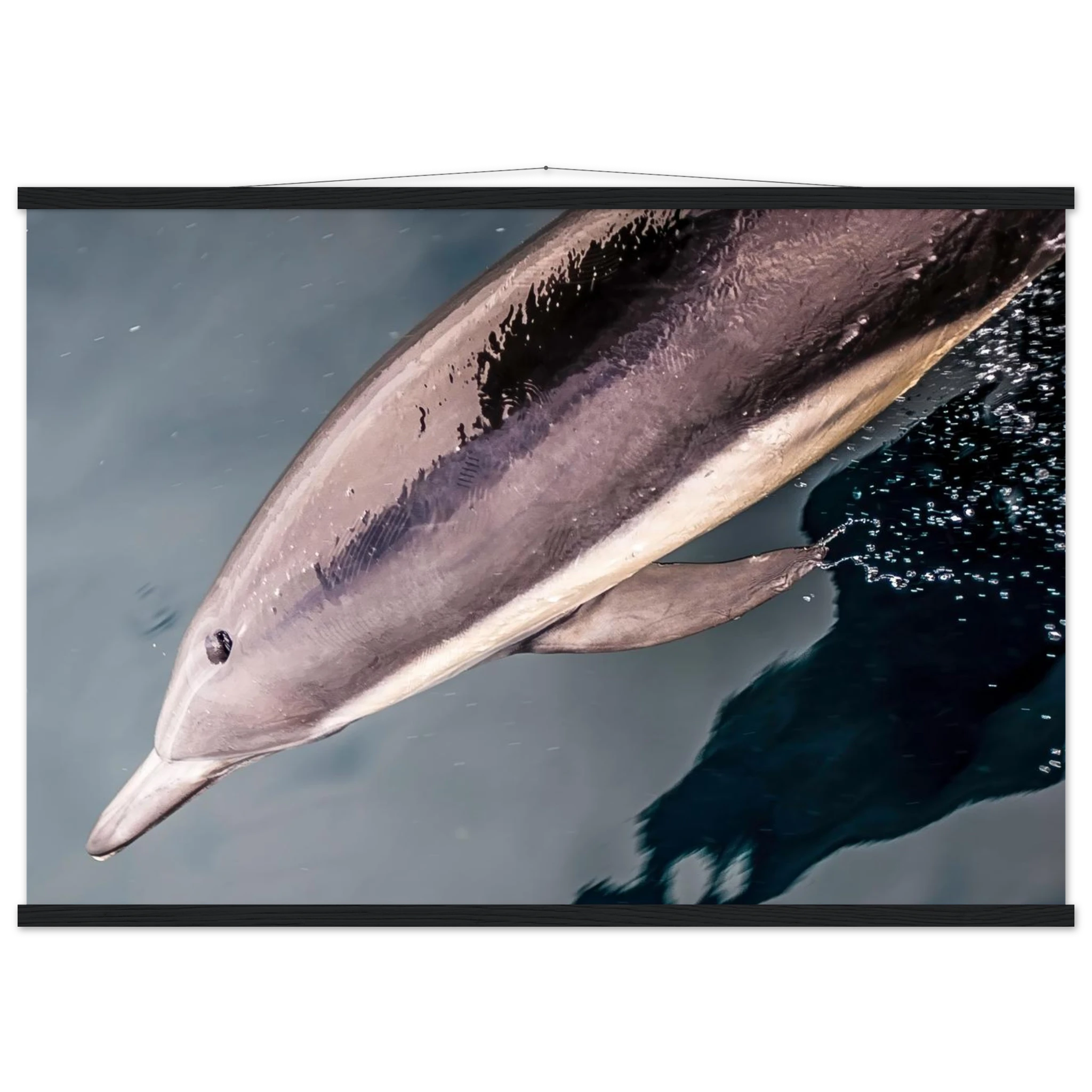 3b1a27e6-bb00-4b44-9823-f44831a8ad77