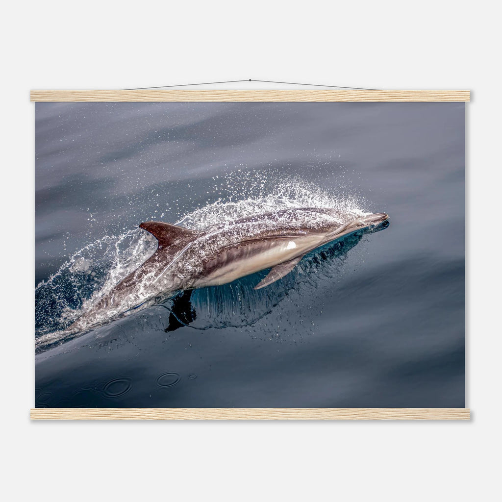 3bf516c5-20a2-43d3-98d1-ac1db625fabc