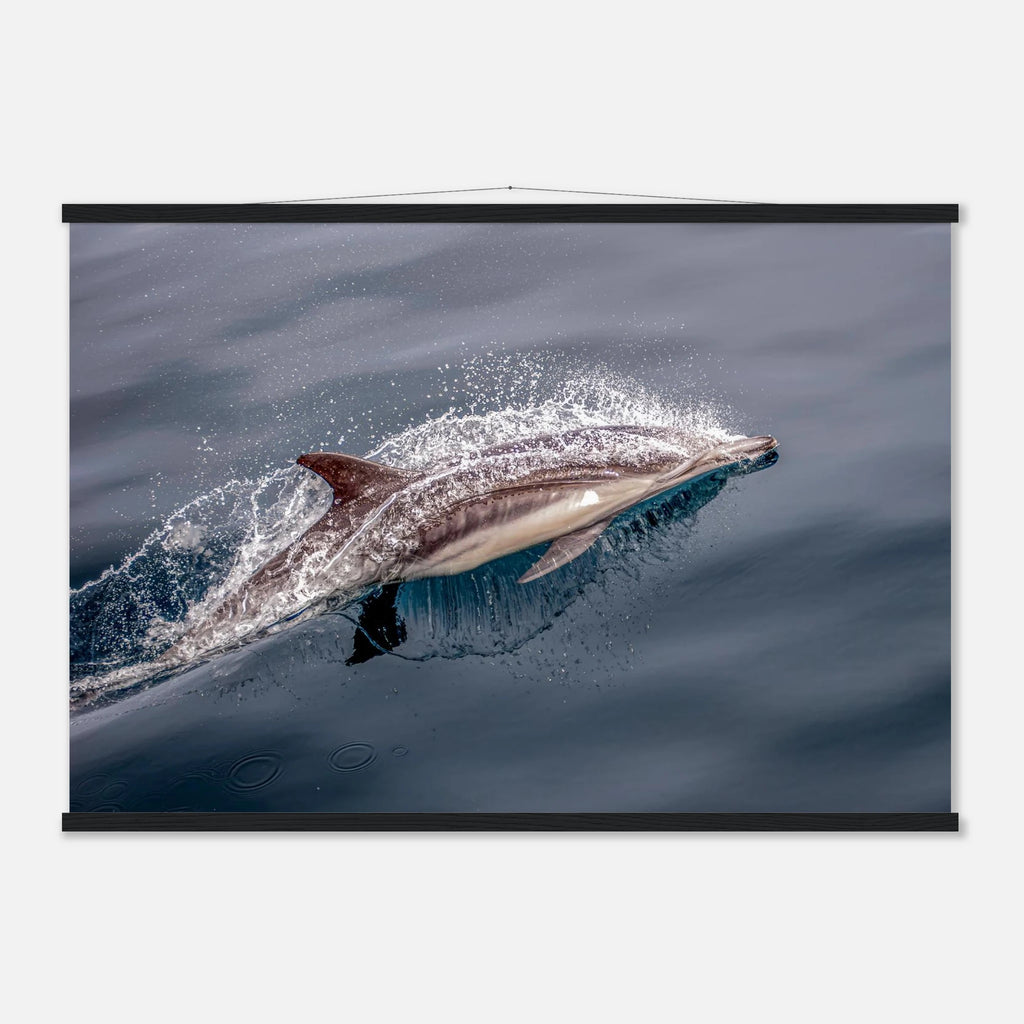 3dac9485-c0d8-4fb2-9655-5e23764e5438