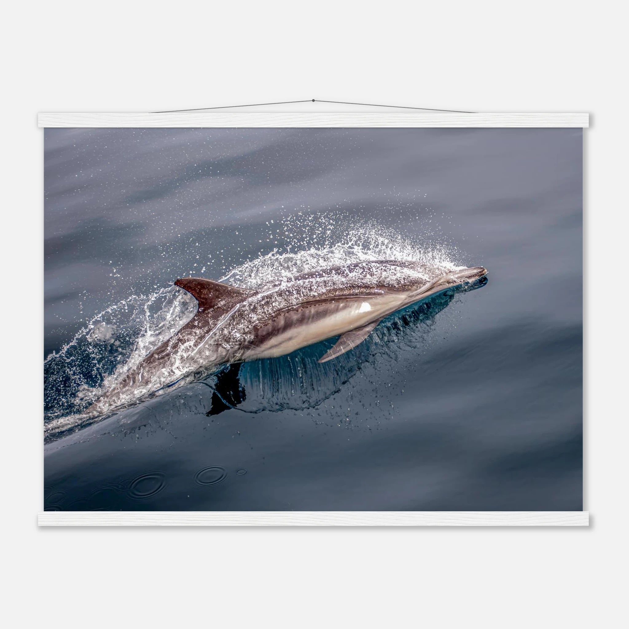 4522aac8-e315-4c2e-b77f-825ee3a29f56