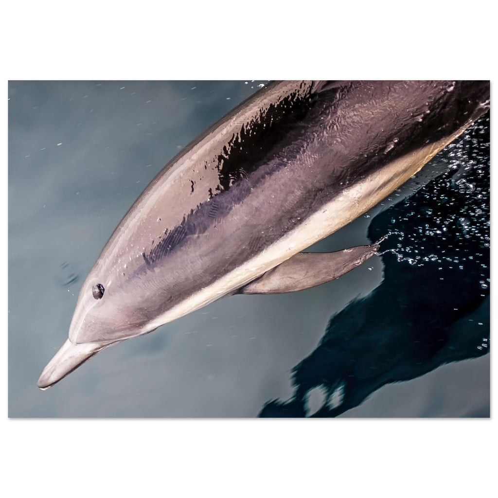 483a4a7a-693d-48e4-b5d3-1b3f6fdf04a6