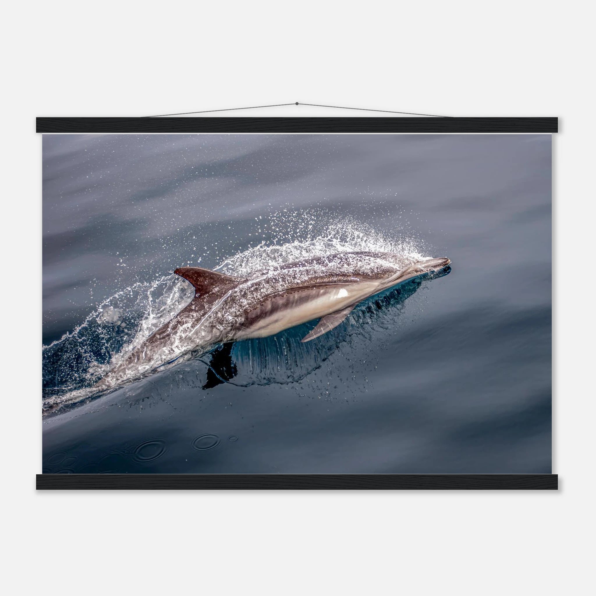 4860eaa7-a1b3-45a9-ba37-78e0545d770c