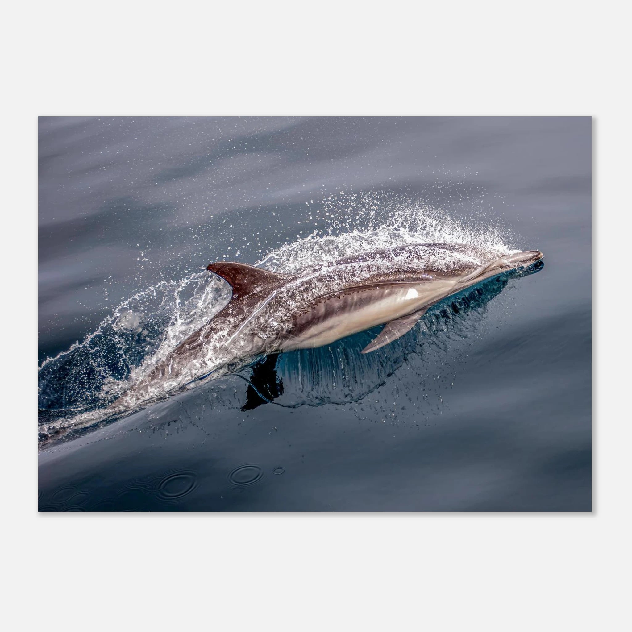 489cdbb3-d86b-49df-a912-a251d04c84de