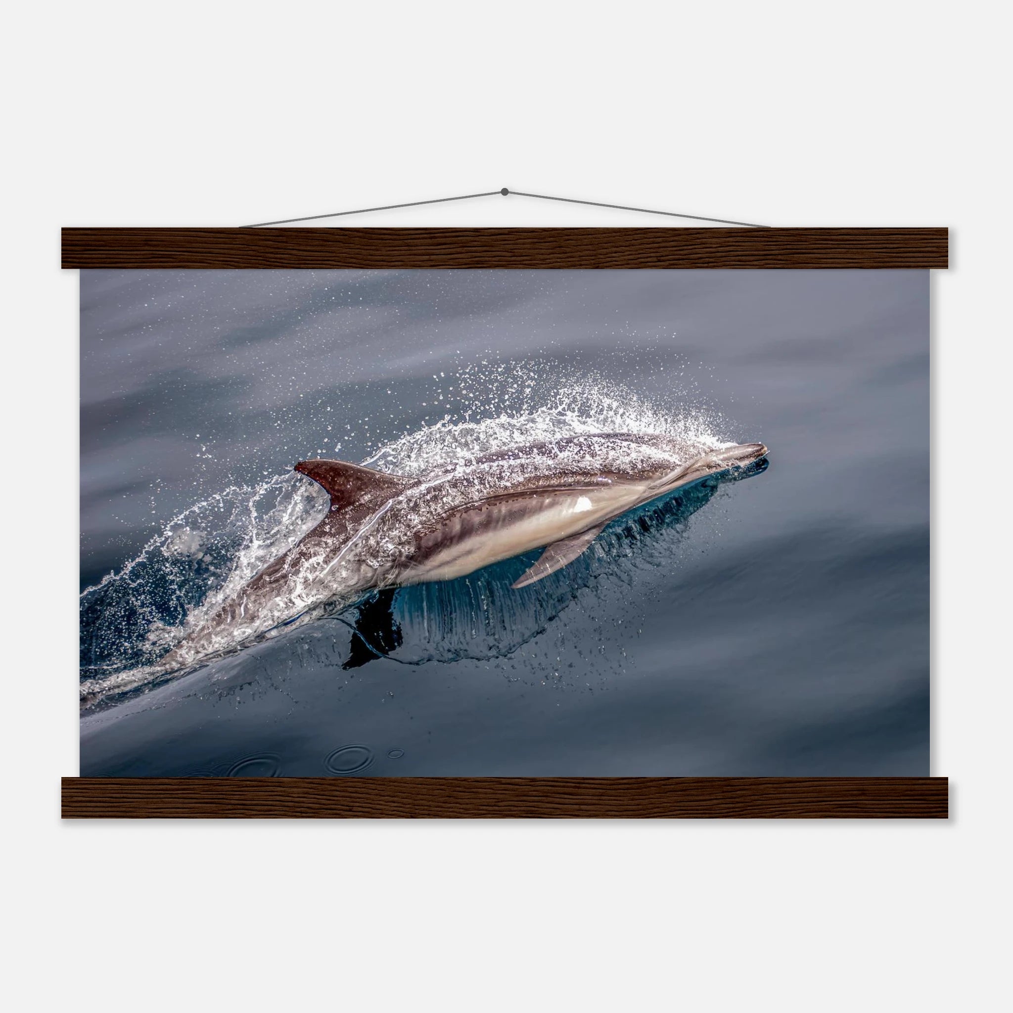 48bdc7c7-ef6c-4cd0-adca-68bb0621ea24