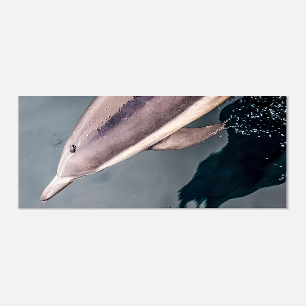 4cfc6a6f-905c-4d58-9588-9d94a552840e