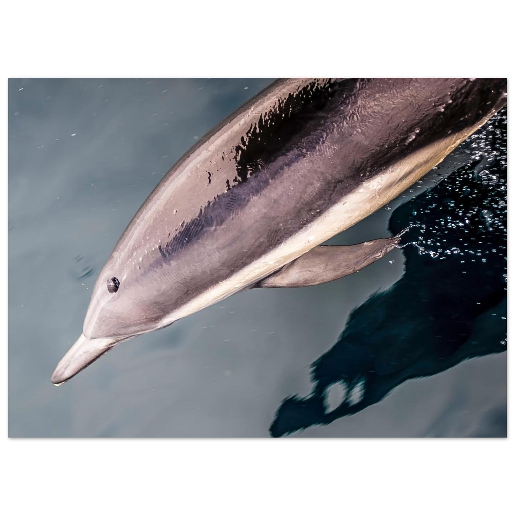 4f346123-4079-41ed-a05f-2f3dcb57efac