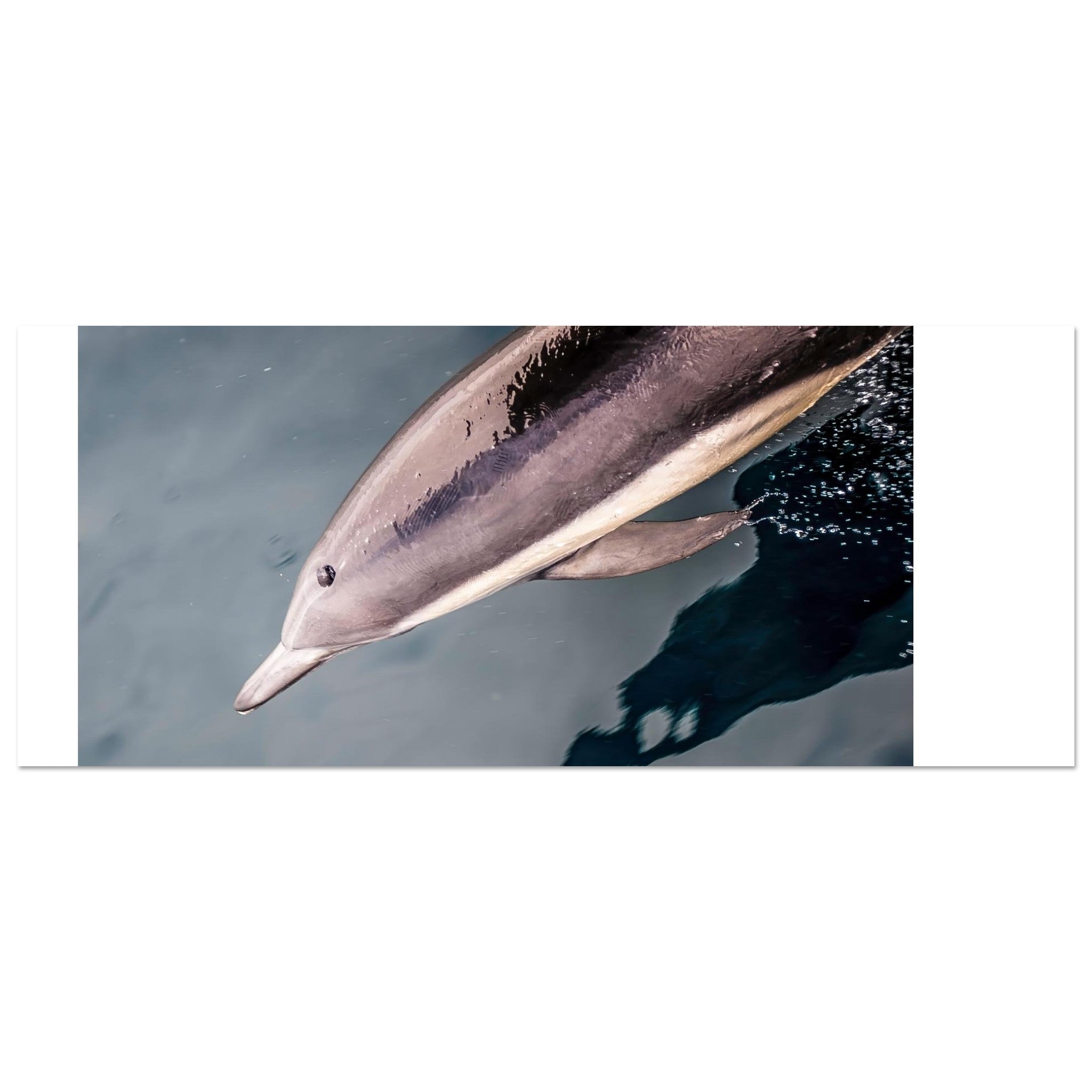 53ca1233-0524-4bac-8d08-32e175837f1c