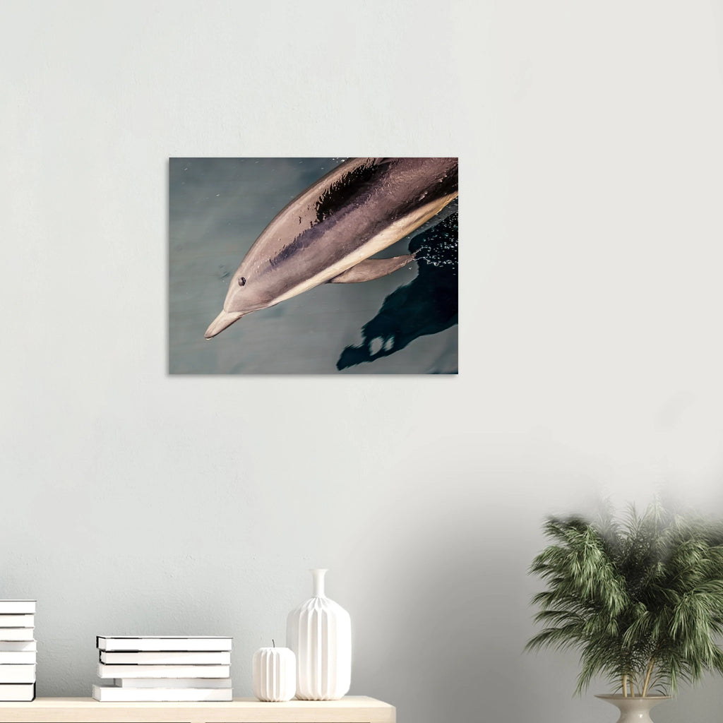 5e73d476-0624-44d8-b863-b48ea37530f6