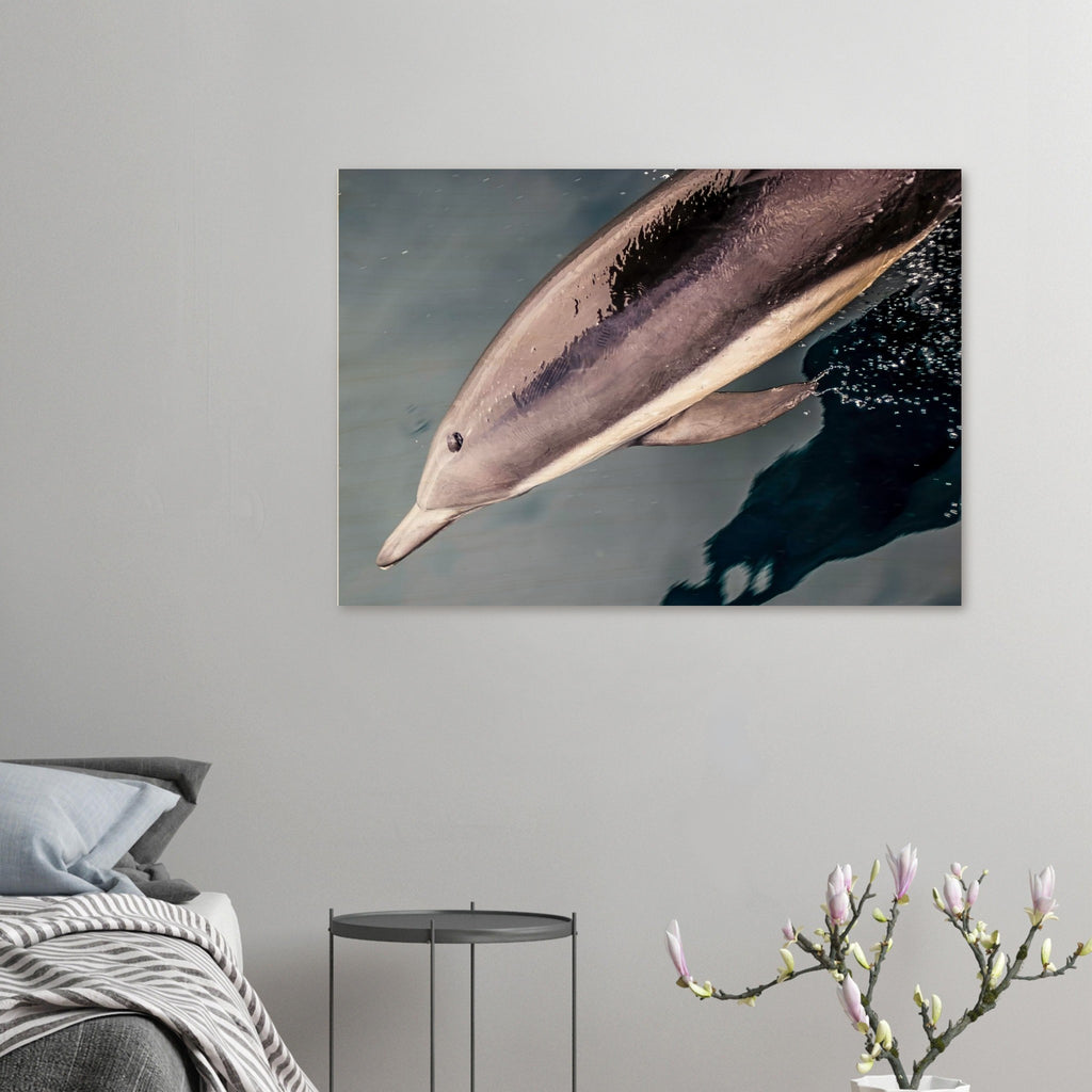 6aeed04c-d55b-4e8e-ac6b-932acc5acc99