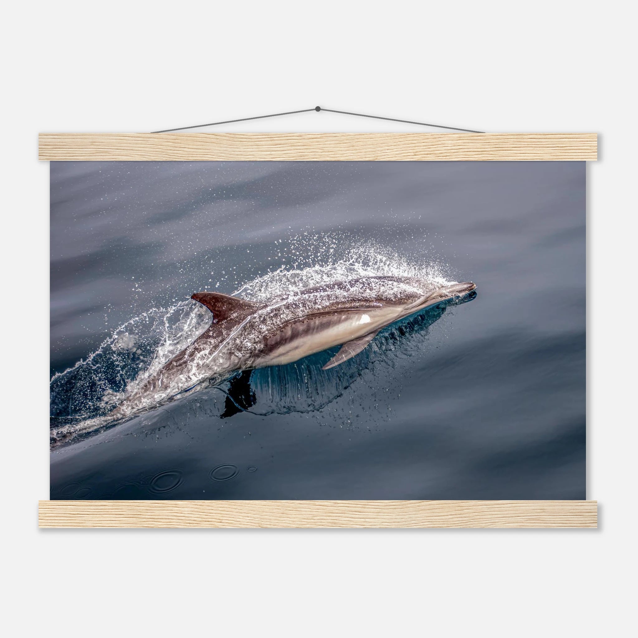 6b4273a7-eae5-4ac0-b4a1-1695c4539c94