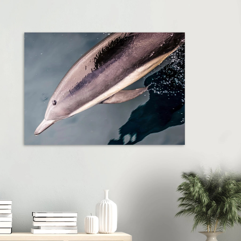 6b63be5b-700f-4f7c-9ed7-863d999030a1