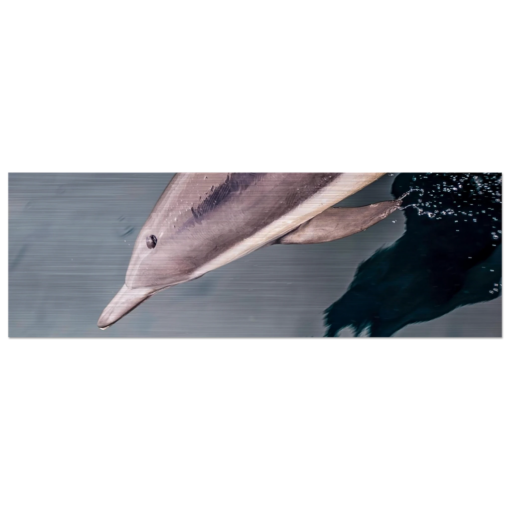 6d5b77db-6966-4531-80b2-1b45a7fdb39d