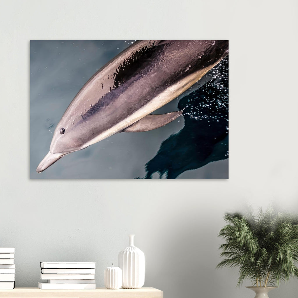 6d89742b-86e8-4c71-b761-2d9e479f1fd5