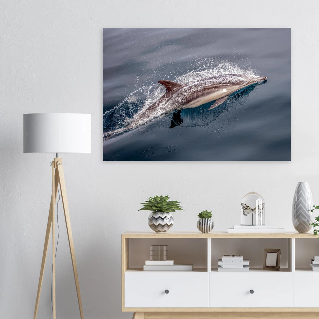 6deae785-ac5d-43bb-bfd8-a3d21317268c