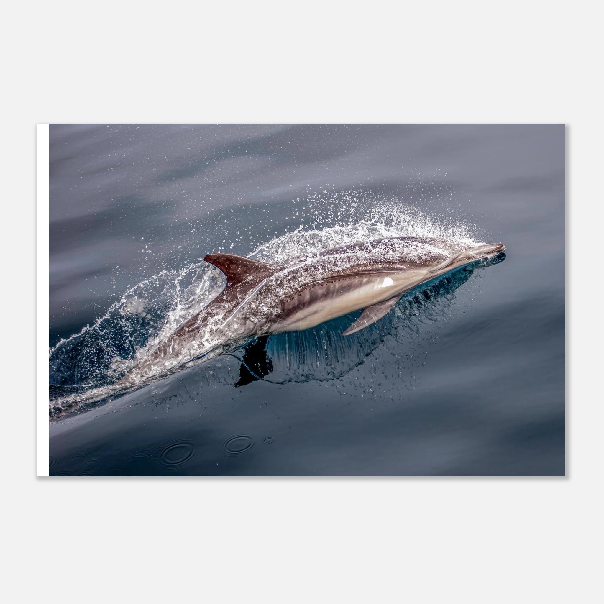 6f247299-4c3b-4c87-9acd-93fc89784a5a