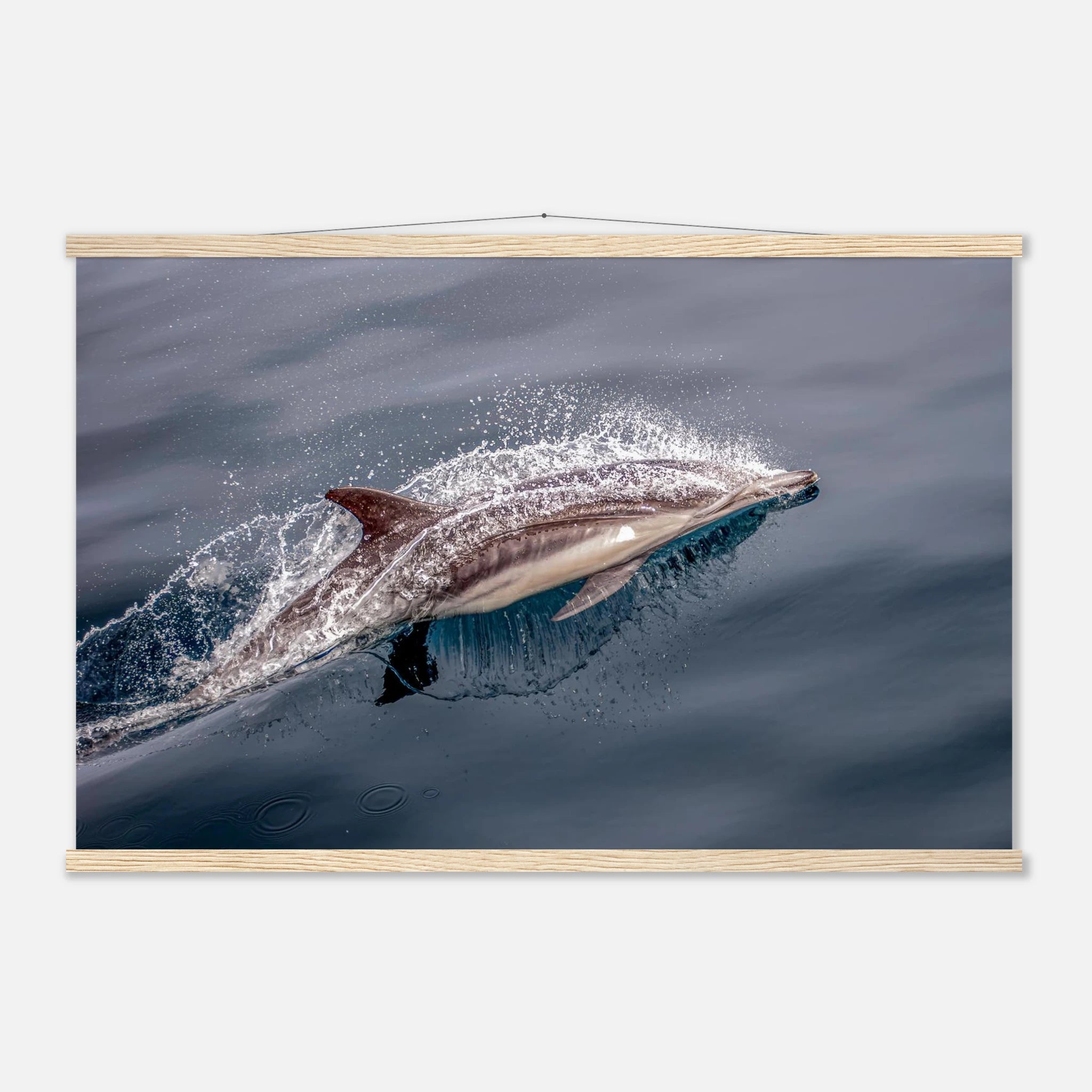 700b441f-652d-46c0-b349-f6a7000f08d9