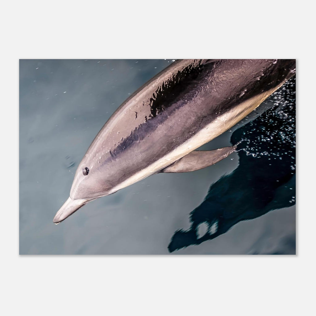 7197ff18-cada-402f-b8d9-52a88d2fd7cc