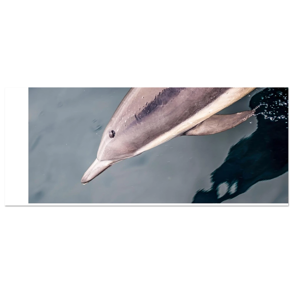 731f88c7-0484-40cf-ad23-8993906f6fe4