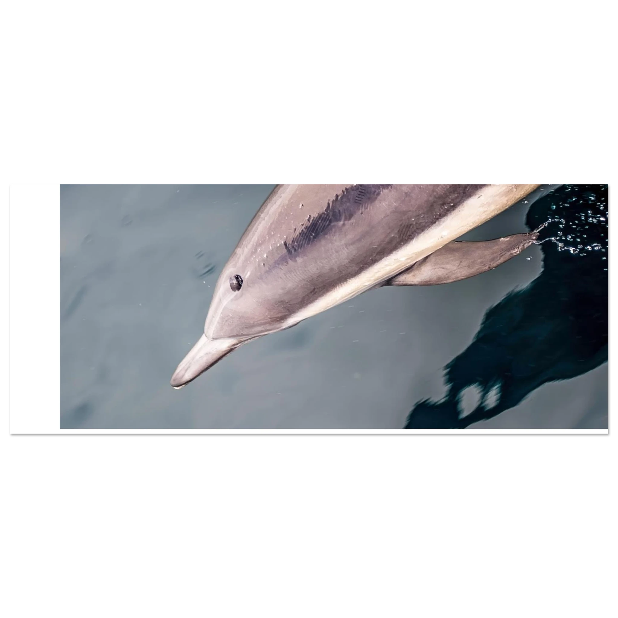 731f88c7-0484-40cf-ad23-8993906f6fe4