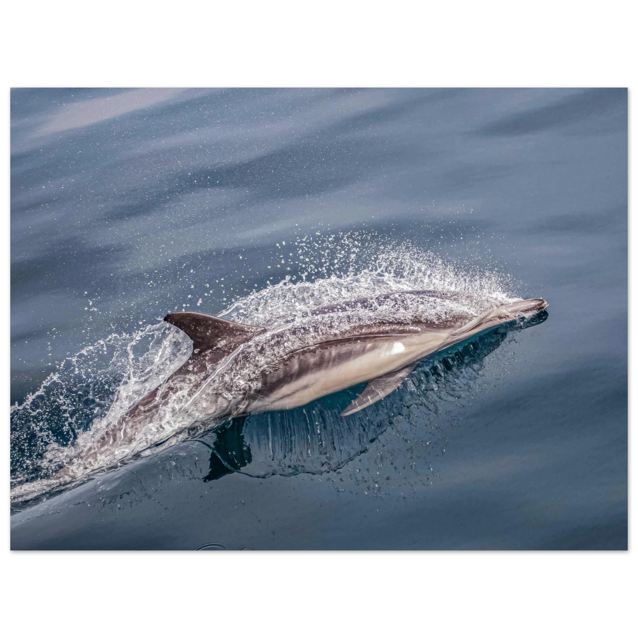 73a25faa-0c68-4aca-80d7-51337d16ed88