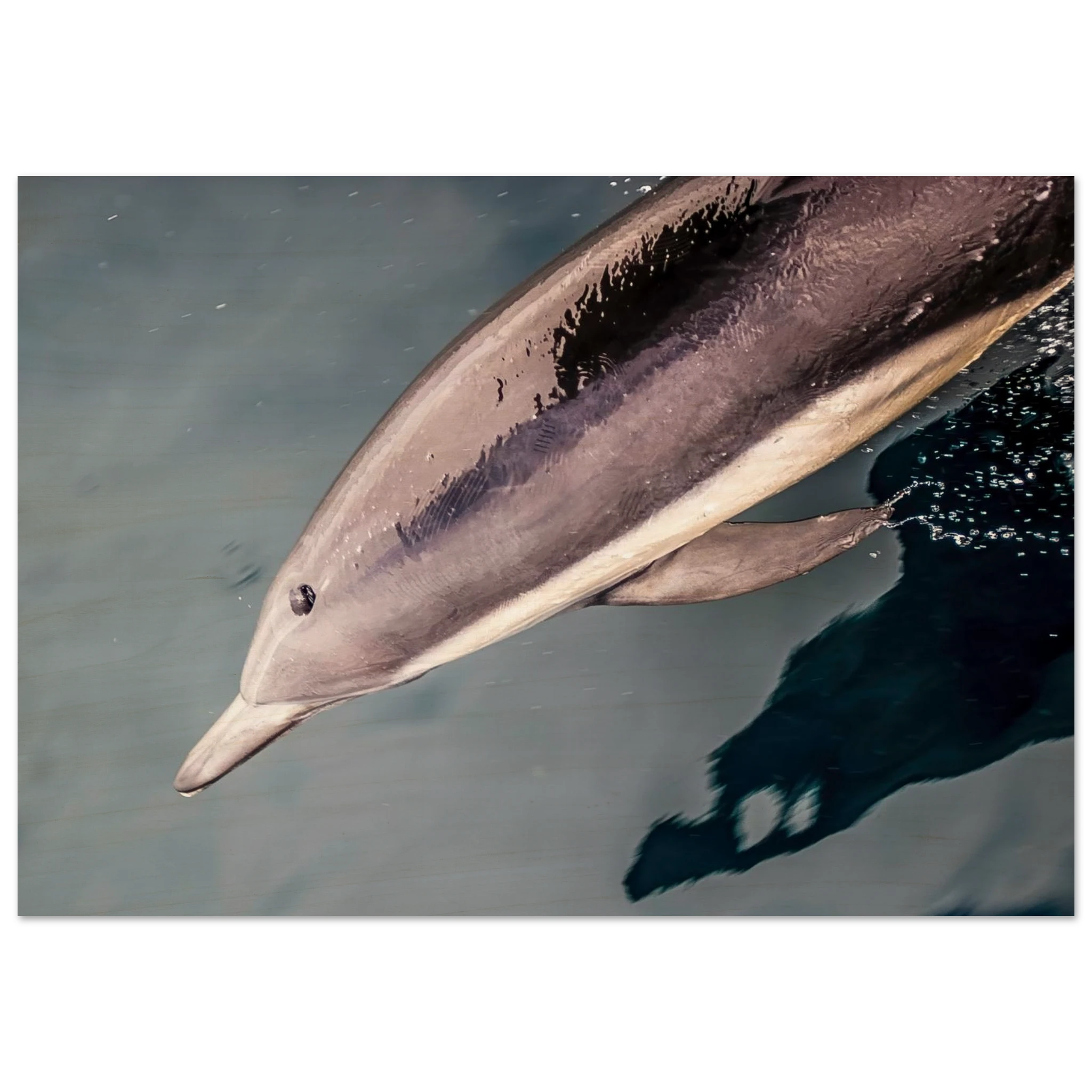 746ff91b-8037-4295-80a0-2dc9d71df35d