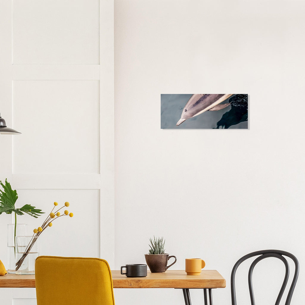 798a60e8-8ab4-49c1-82d4-5f800b43ab12