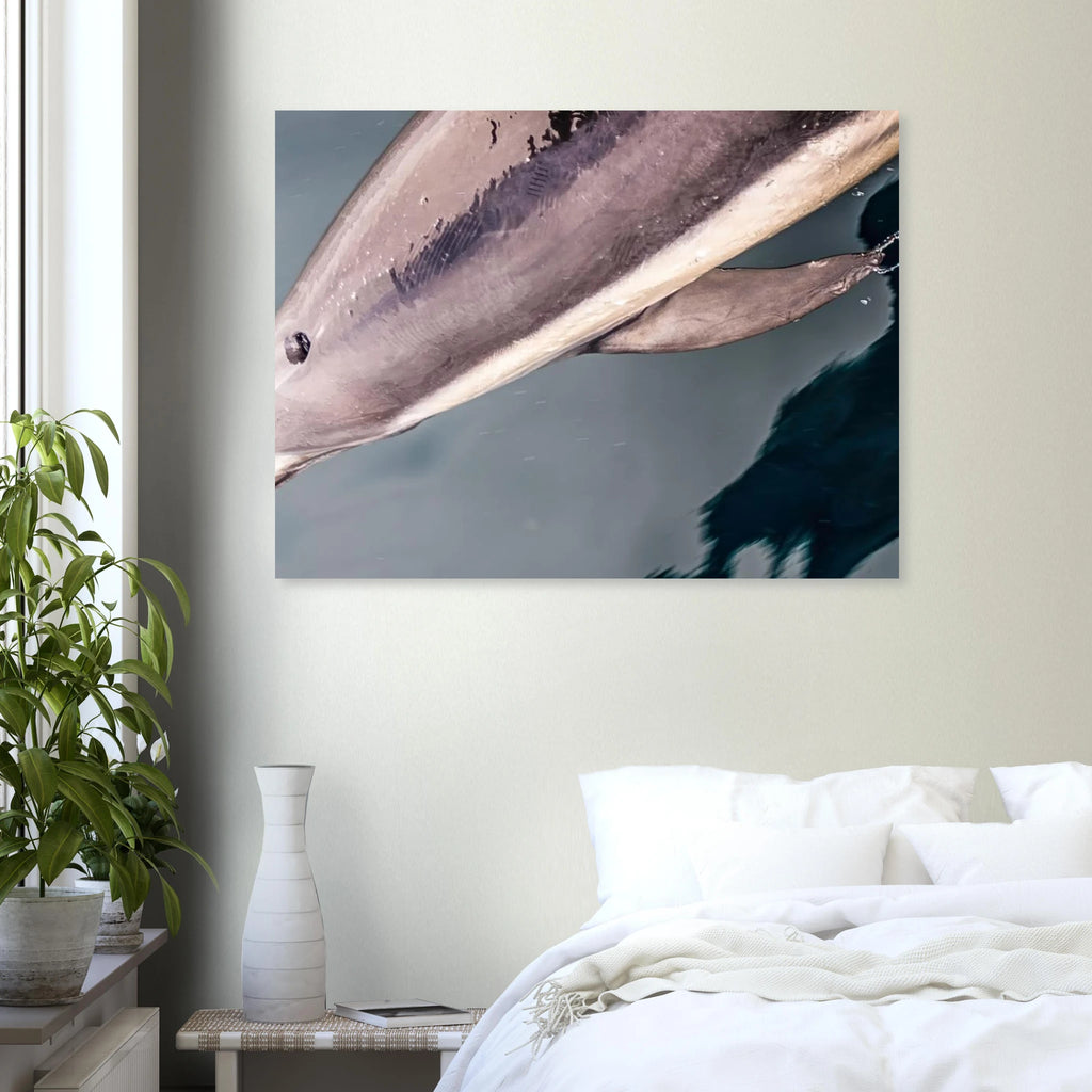 84d8582f-9a4d-4dc2-84a9-be1eca677f1a