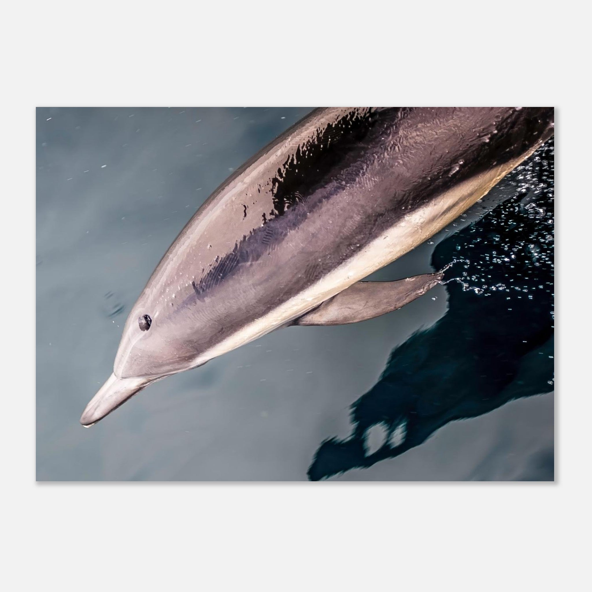 89459977-ab17-418a-8a21-e394f0c70504