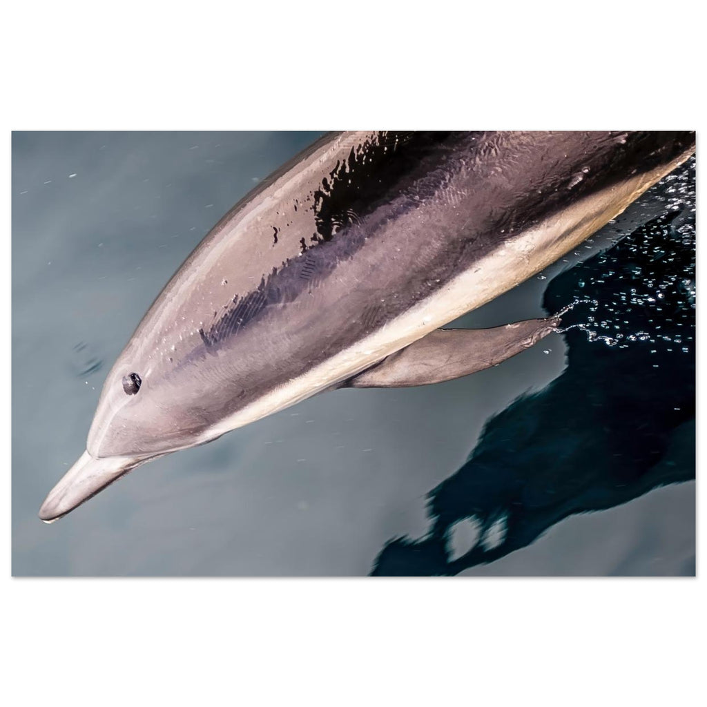 89abdf08-ec98-4bbf-a99b-df5377a61b56